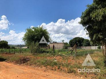 Terreno de 350m² à Venda - Ponta Grossa - Ref. 461424-4