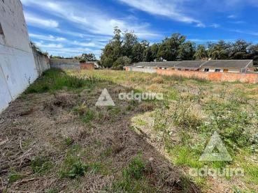 Terreno de 1.320m² à Venda - Ponta Grossa - Ref. 461661-4