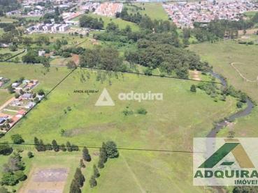 Terreno de 65.000m² à Venda - Ponta Grossa - Ref. 461790-4