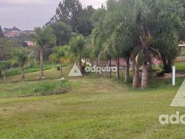 Chácara de 12.000m² à Venda - Ponta Grossa - Ref. 461833-4