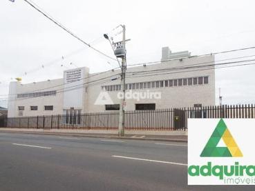 Apartamento de 242m² para Alugar - Ponta Grossa - Ref. 461841-5