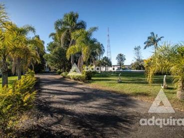 Chácara de 24.000m² para Alugar - Ponta Grossa - Ref. 462037-5