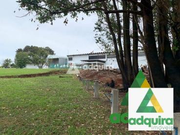 Apartamento de 46.086m² à Venda - Ponta Grossa - Ref. 462174-4