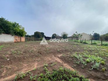 Casa de 1.000m² à Venda, 2 quartos - Ponta Grossa - Ref. 518383-4