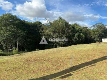 Terreno de 315m² à Venda - Ponta Grossa - Ref. 518489-4
