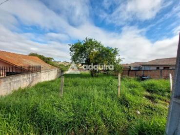 Terreno de 640m² à Venda - Ponta Grossa - Ref. 518524-4
