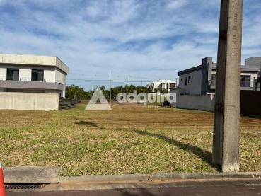 Terreno de 300m² à Venda - Ponta Grossa - Ref. 518534-4