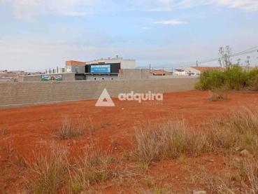 Terreno de 426m² à Venda - Ponta Grossa - Ref. 518554-4