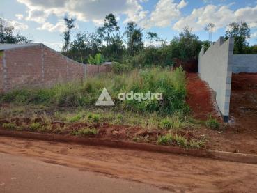 Terreno de 300m² à Venda - Ponta Grossa - Ref. 518666-4