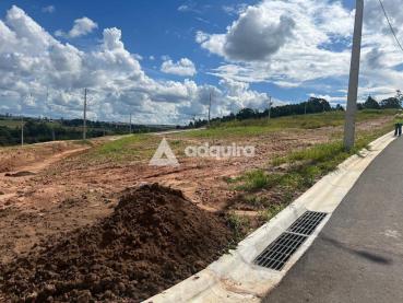 Terreno de 267m² à Venda - Ponta Grossa - Ref. 518681-4