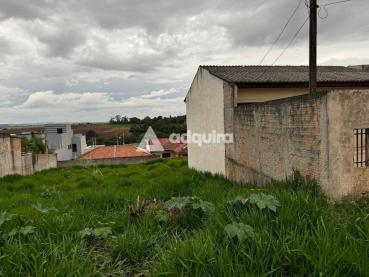 Terreno de 310m² à Venda - Ponta Grossa - Ref. 518704-4