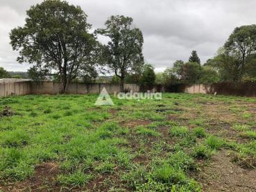 Terreno de 2.542m² à Venda - Ponta Grossa - Ref. 518744-4