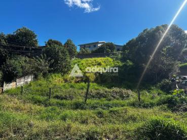 Terreno de 525m² à Venda - Ponta Grossa - Ref. 518797-4