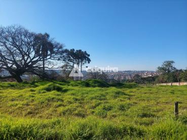 Terreno de 5.000m² à Venda - Ponta Grossa - Ref. 518872-4