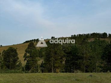 Terreno de 1.000m² à Venda - Ponta Grossa - Ref. 518901-4