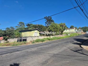 Terreno de 2.320m² à Venda - Ponta Grossa - Ref. 518987-4