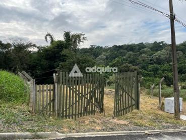 Terreno de 605m² à Venda - Ponta Grossa - Ref. 519036-4