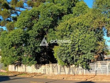 Terreno de 984m² à Venda - Ponta Grossa - Ref. 519211-4