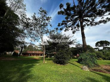 Chácara de 5.000m² à Venda - Ponta Grossa - Ref. 519409-4