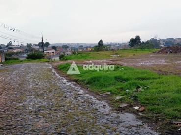 Terreno de 4.839m² à Venda - Ponta Grossa - Ref. 519416-4