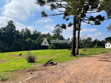 Sítio de 10m² à Venda - Castro - Ref. 519558-4