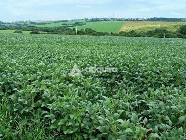 Terreno de 200.000m² à Venda - Ponta Grossa - Ref. 519596-4