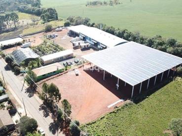 Apartamento de 5.000m² para Alugar - Ponta Grossa - Ref. 519621-5