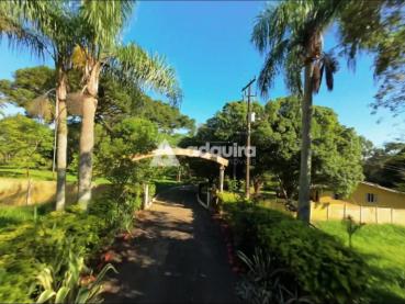 Chácara de 10m² à Venda - Ponta Grossa - Ref. 519630-4