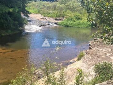 Chácara de 50.000m² à Venda - Carambei - Ref. 519661-4