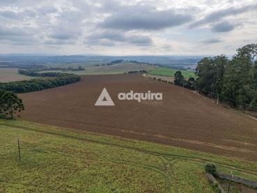 Sítio de 163.906m² à Venda - Palmeira - Ref. 519665-4