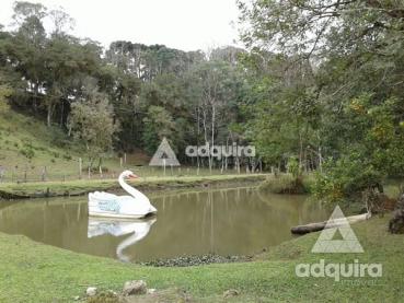 Chácara de 15.000m² à Venda - Ponta Grossa - Ref. 519688-4