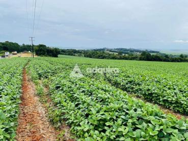 Sítio de 484.000m² à Venda - Ponta Grossa - Ref. 519698-4