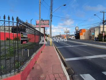 Terreno de 800m² para Alugar - Ponta Grossa - Ref. 522699-5