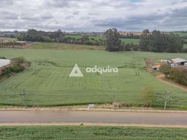 Terreno de 80.000m² à Venda - Ponta Grossa - Ref. 522817-4