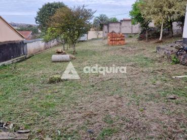 Terreno de 490m² à Venda - Ponta Grossa - Ref. 523387-4