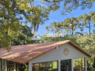 Chácara de 12.450m² à Venda - Ponta Grossa - Ref. 524175-4