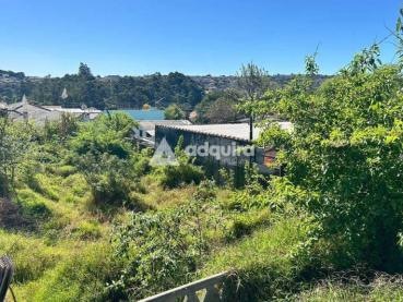 Terreno de 501m² à Venda - Ponta Grossa - Ref. 524582-4