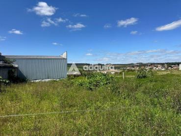 Terreno de 407m² à Venda - Carambei - Ref. 527305-4