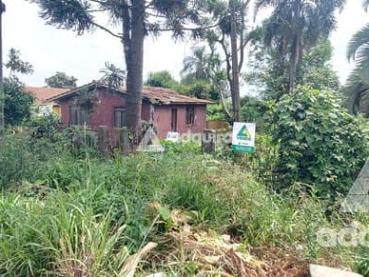 Terreno de 462m² à Venda - Ponta Grossa - Ref. 528088-4