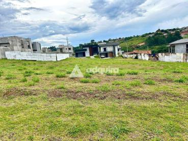 Terreno de 327m² à Venda - Ponta Grossa - Ref. 528514-4