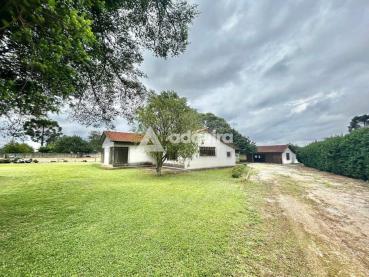 Chácara de 3.739m² à Venda - Carambei - Ref. 528523-4