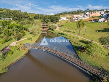 Terreno de 309m² à Venda - Ponta Grossa - Ref. 529041-4