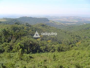 Sítio de 2.531.243m² à Venda - Tibagi - Ref. 532037-4