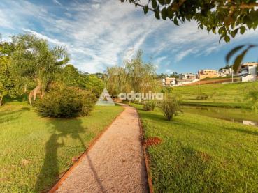 Terreno de 331m² à Venda - Ponta Grossa - Ref. 533130-4