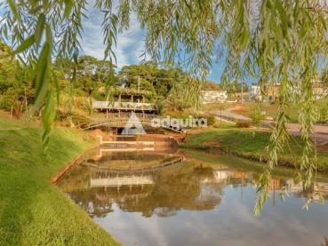 Terreno de 368m² à Venda - Ponta Grossa - Ref. 533131-4