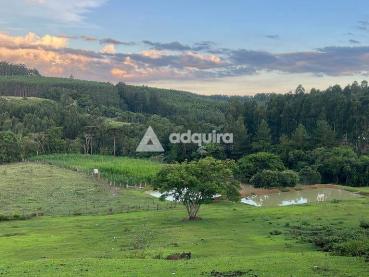 Chácara de 1.100m² à Venda - Ponta Grossa - Ref. 533253-4