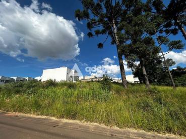 Terreno de 802m² à Venda - Ponta Grossa - Ref. 533829-4