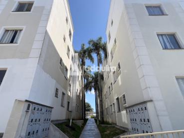 Apartamento de 10m² para Alugar, 2 quartos - Ponta Grossa - Ref. 534518-5