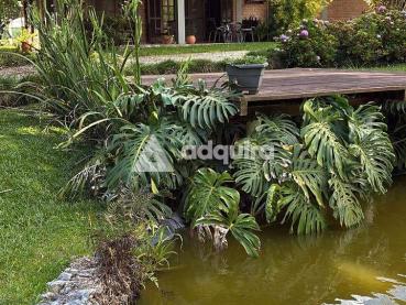 Chácara de 109.000m² à Venda - Ponta Grossa - Ref. 534753-4