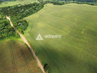 Sítio de 10m² à Venda - Castro - Ref. 539193-4